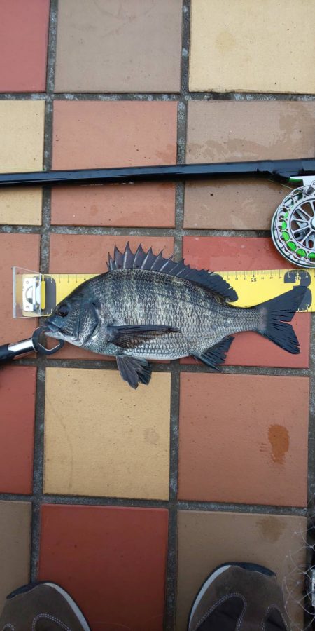 短時間にて　～辰巳一付近～