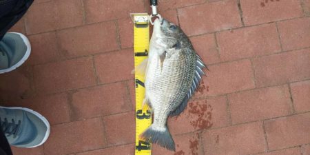 豊洲ぐるり公園