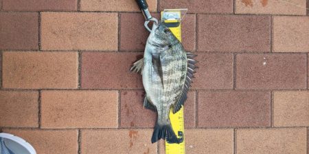 まだまだ　辰巳橋付近