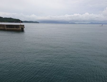 はぐれジャンボサヨリ