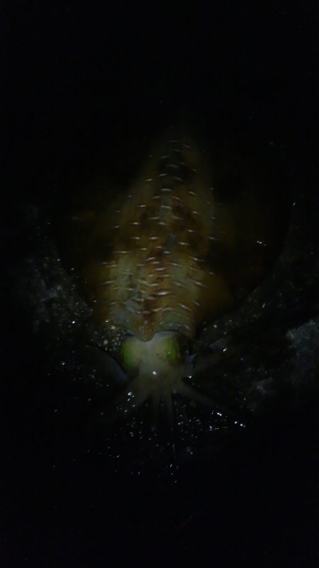 逆転ホームラン