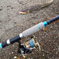 久しぶりのマゴチ