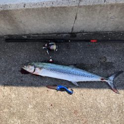 会社の仲間とルアーフィッシング