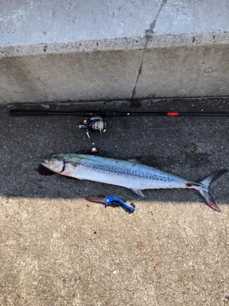 会社の仲間とルアーフィッシング