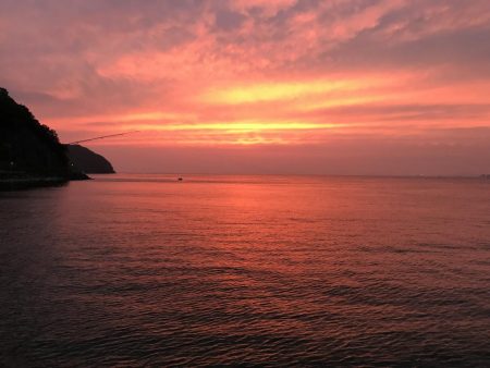 渋かった太刀魚