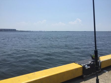 ちょっとずつ大きいなってますがな