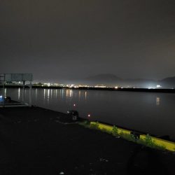 太刀魚連日釣れますが細いのばかり