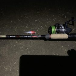 ランカーシーバスかと思ったら怪魚