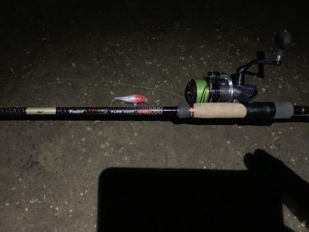 ランカーシーバスかと思ったら怪魚