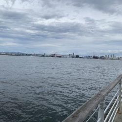 小さくても青物！