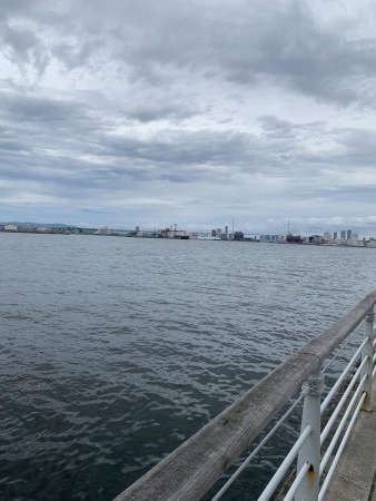 小さくても青物！