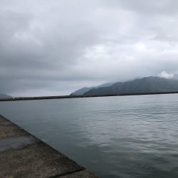 アジアジアジアジアジアジアジ