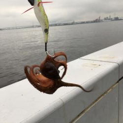 オクトパッシング