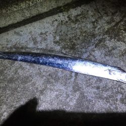 頑張ってれば…