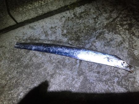 頑張ってれば…