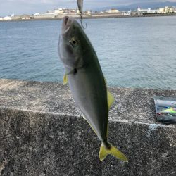 炎天下ライトショアジギング