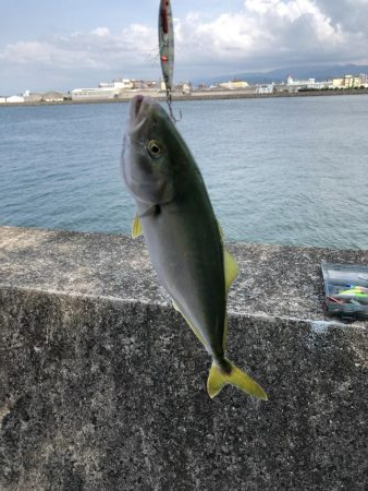 炎天下ライトショアジギング