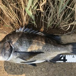 イチノ兄弟、釣果!