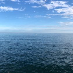 フラット、ロックフィッシュ狙いで