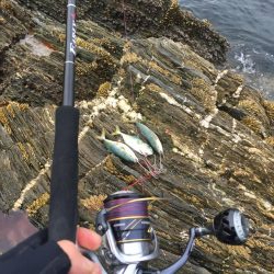 シーバスロッドでブンブン