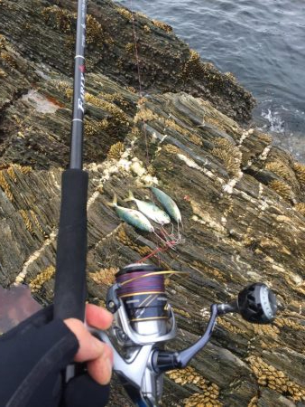 シーバスロッドでブンブン