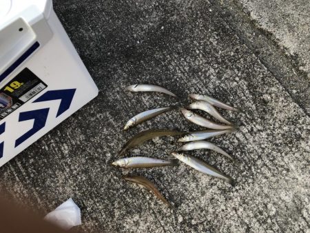 小潮16時から18時