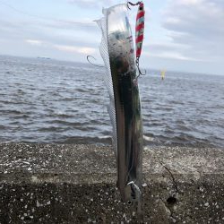 情報は伊達じゃ無いっす！