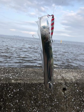 情報は伊達じゃ無いっす！