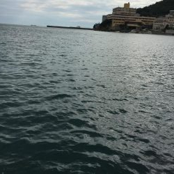 かわいいサイズのシオ