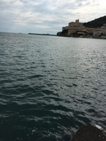 かわいいサイズのシオ