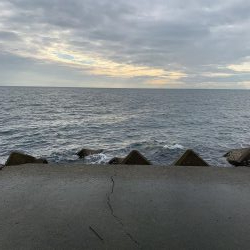 なんとかキャッチ