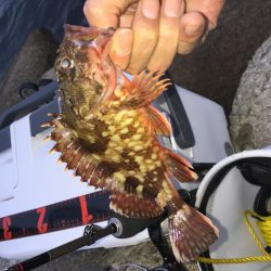 パターンをつかんでなんとか