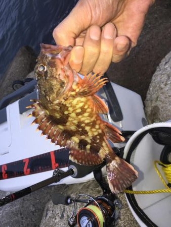 パターンをつかんでなんとか