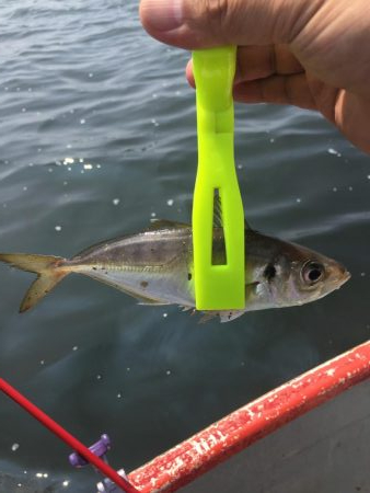 ボートフィッシング