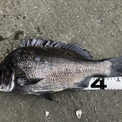 イチノ兄弟、釣果！