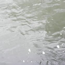 キス　良型増えてきた