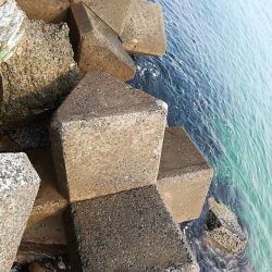 キスシーズンインか