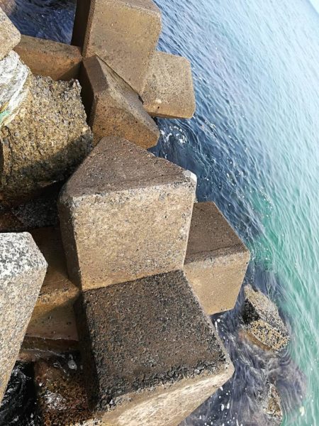 キスシーズンインか