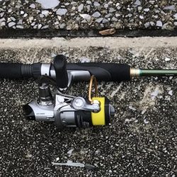 ダイソーワーム