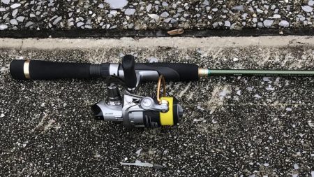 ダイソーワーム