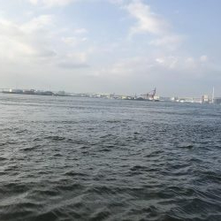 エイはキライです(-_-;)