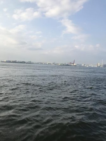 エイはキライです(-_-;)