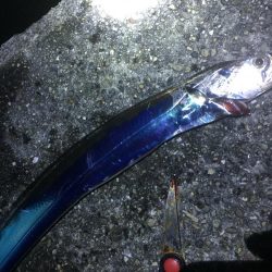 数は少ないけど