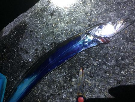 数は少ないけど