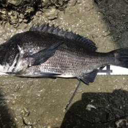 イチノ兄弟、釣果！