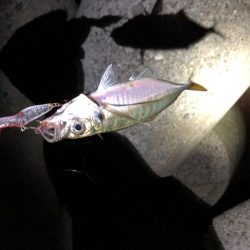 メバリング‼︎