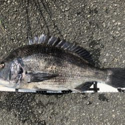 イチノ兄弟、釣果!