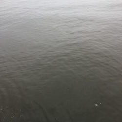 雨の日って釣れるのかな?