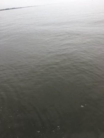 雨の日って釣れるのかな?