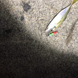 メタルスッテアジング成立